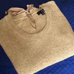 ana sequin sweater